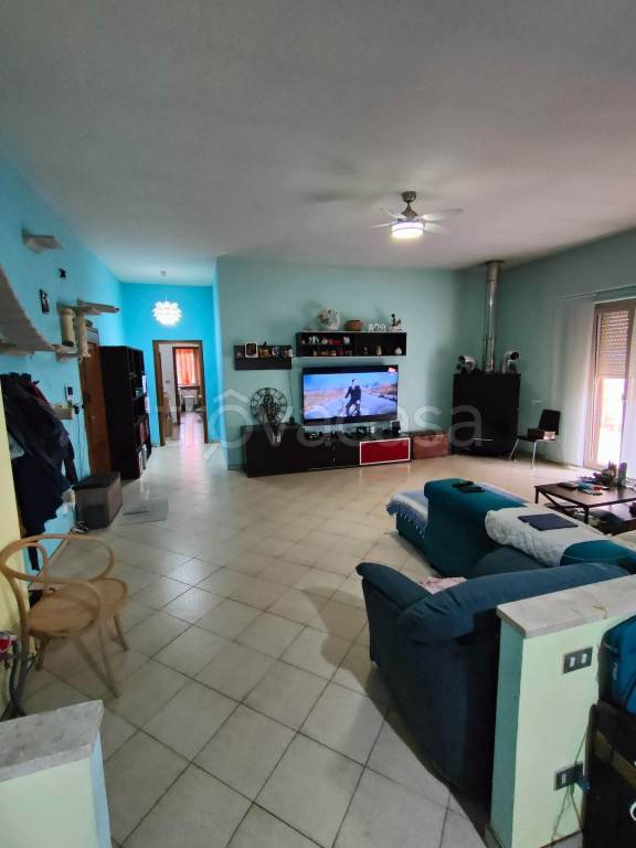 immagine annuncio 2 di 14