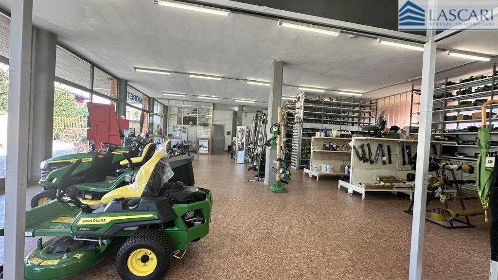 immagine annuncio 14 di 15