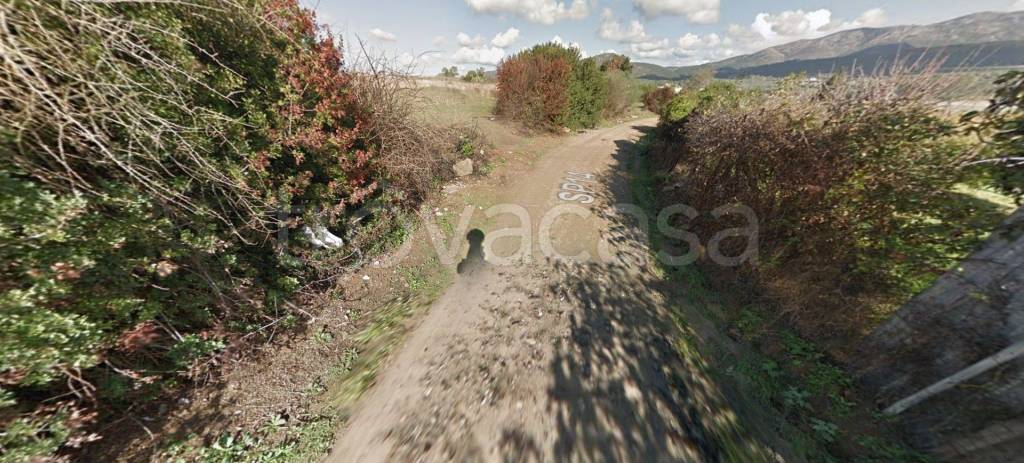 immagine annuncio 6 di 12