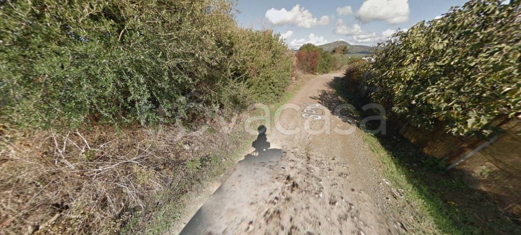 immagine annuncio 7 di 12