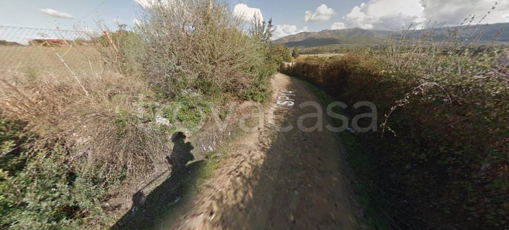 immagine annuncio 8 di 12