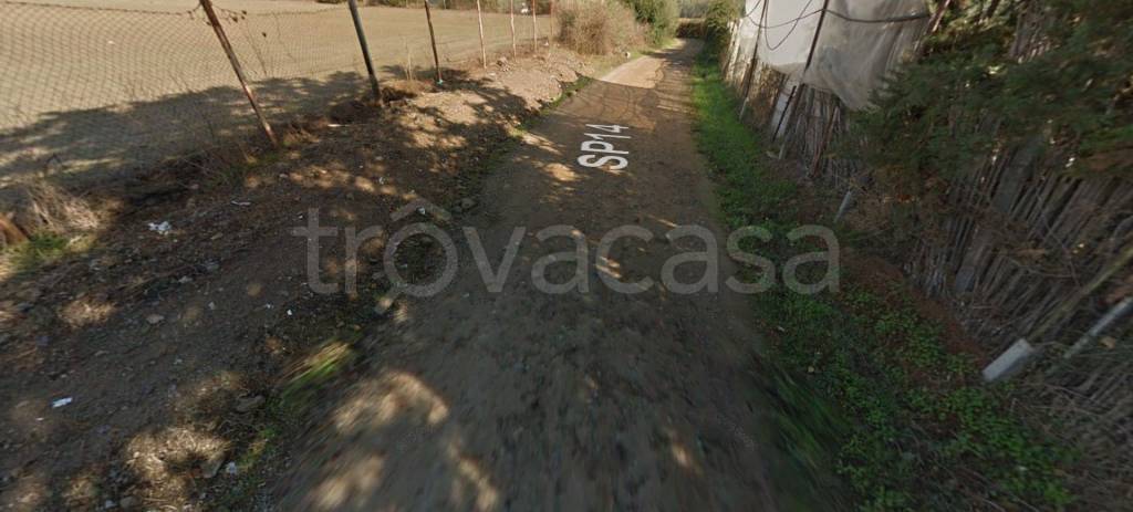 immagine annuncio 9 di 12