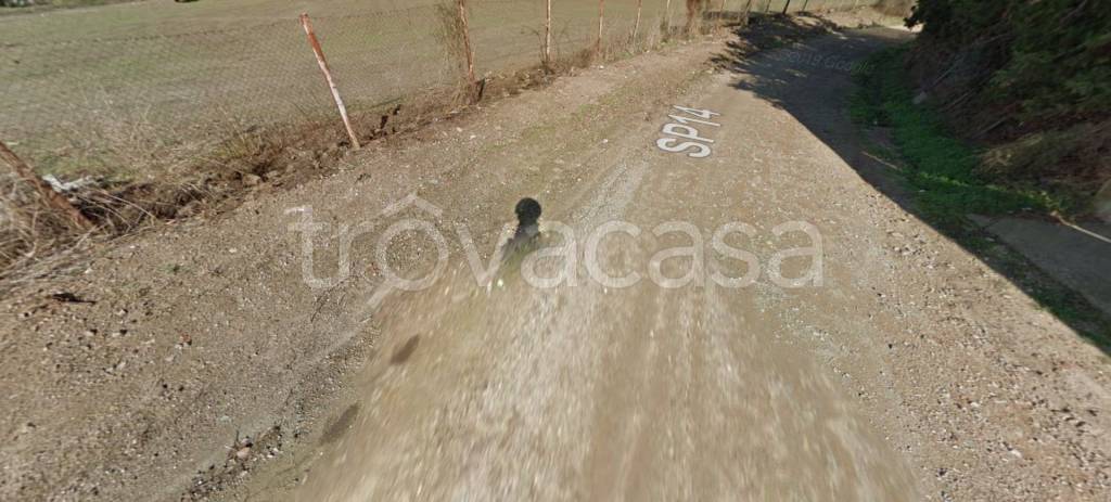 immagine annuncio 10 di 12