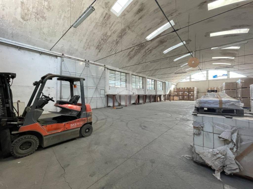 immagine annuncio 10 di 15