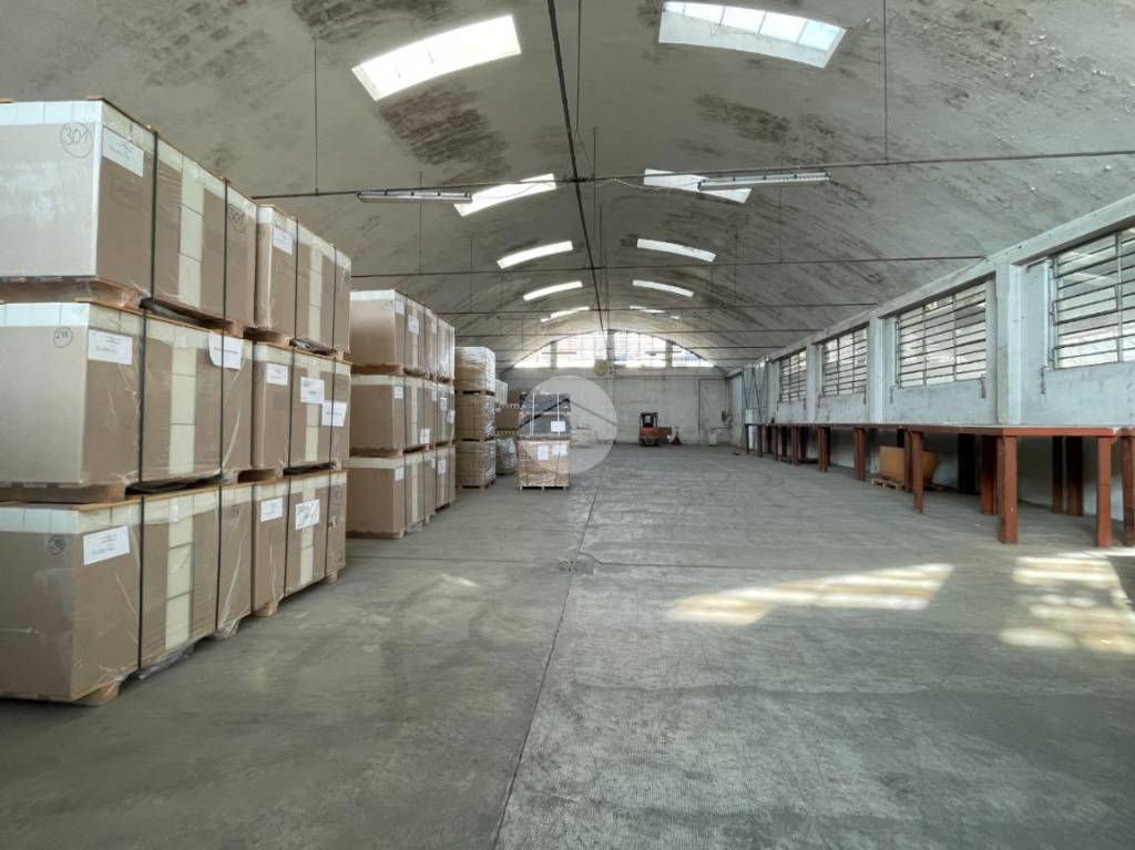 immagine annuncio 12 di 15