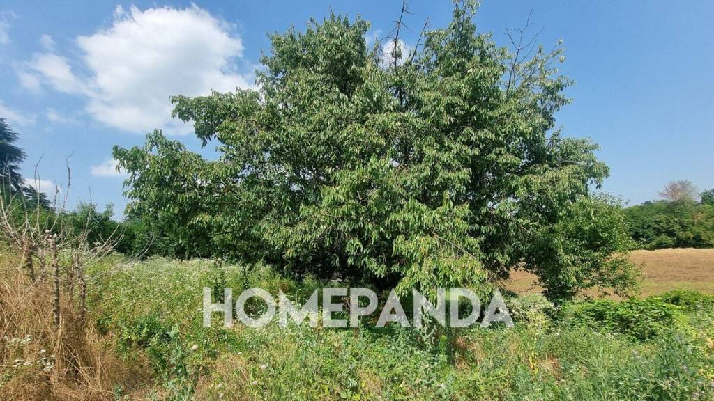 immagine annuncio 6 di 7