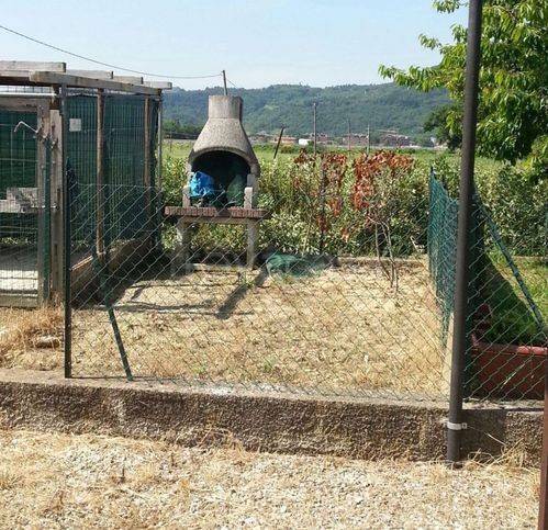 immagine annuncio 7 di 11