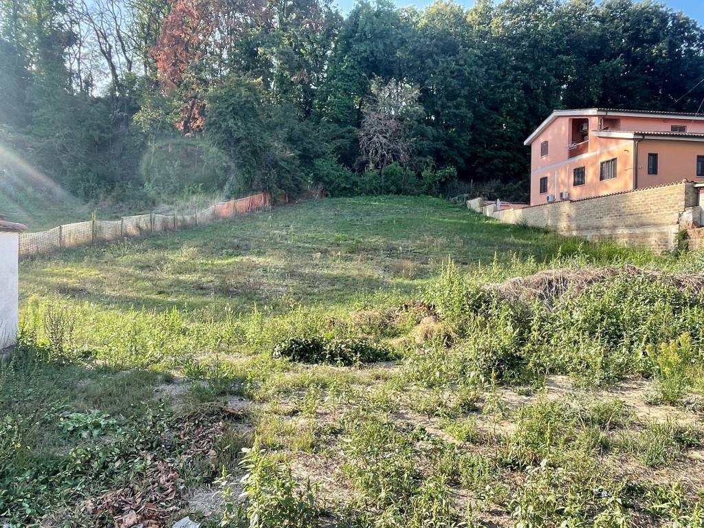 immagine annuncio 2 di 7