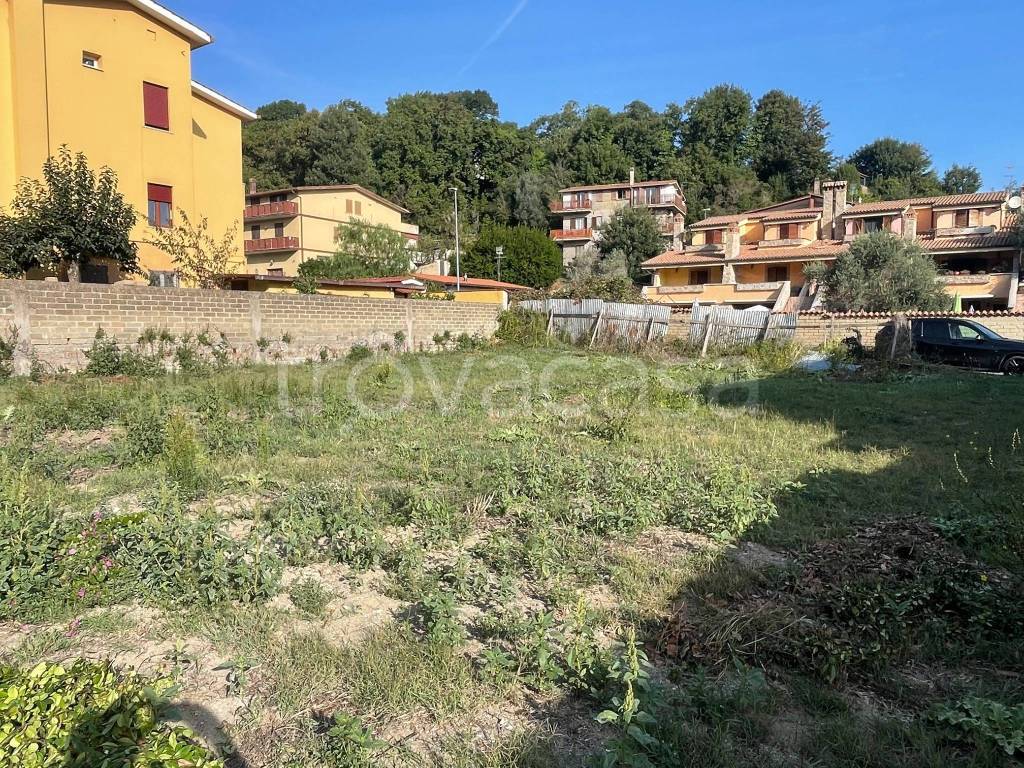 immagine annuncio 4 di 7
