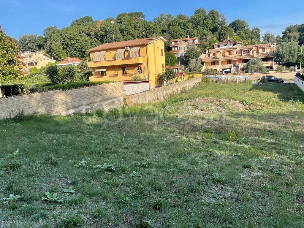 immagine annuncio 6 di 7