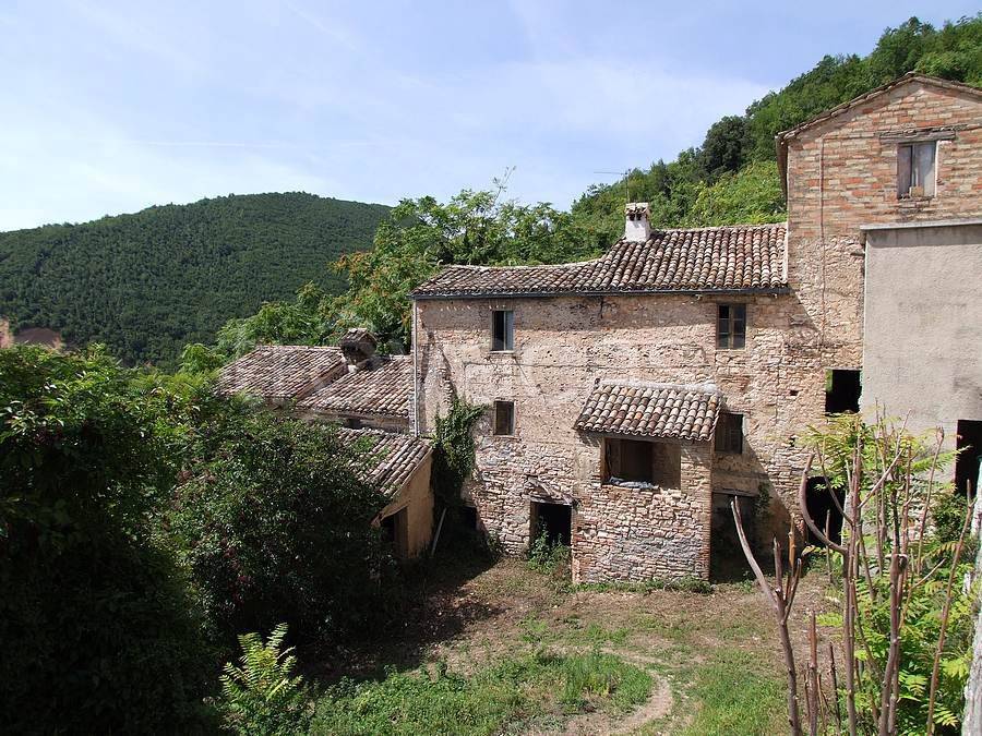 immagine annuncio 6 di 8