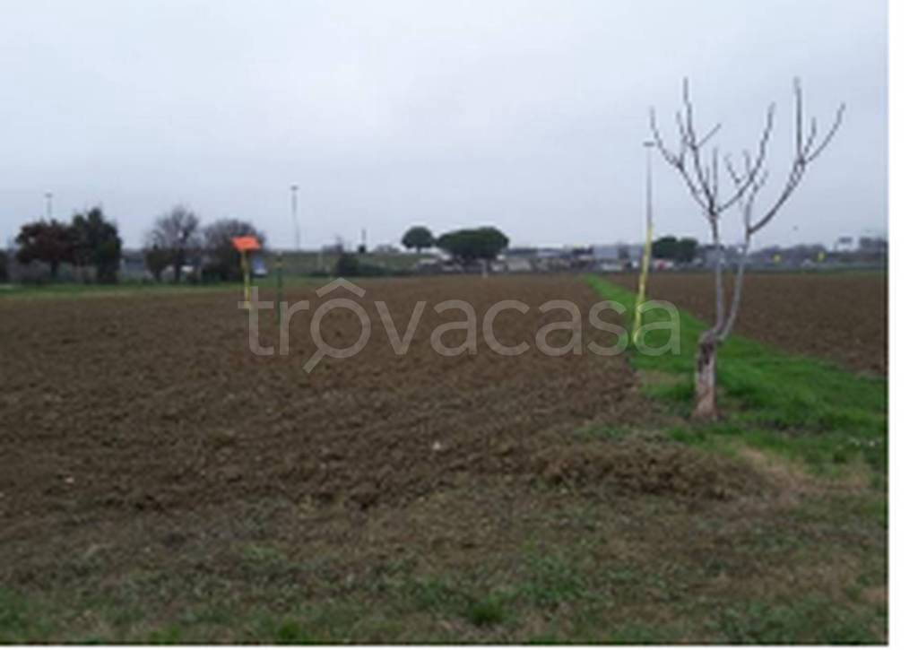 immagine annuncio 4 di 9