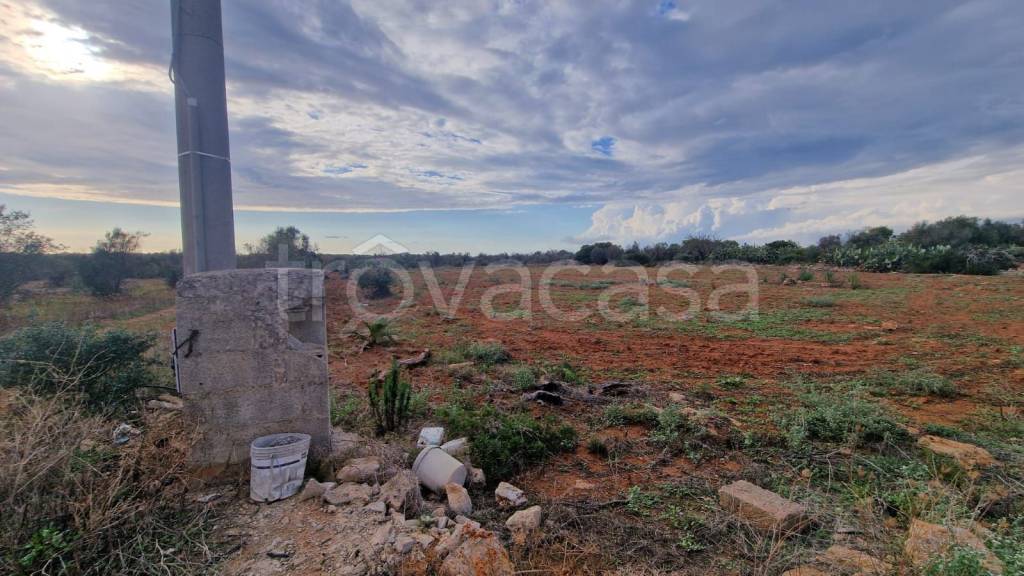 immagine annuncio 6 di 12