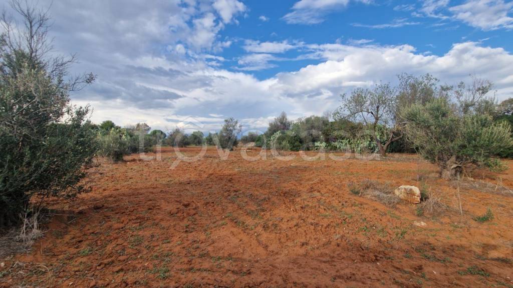 immagine annuncio 8 di 12