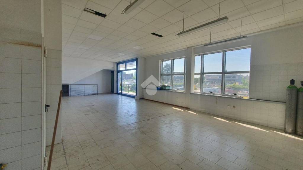 immagine annuncio 5 di 12