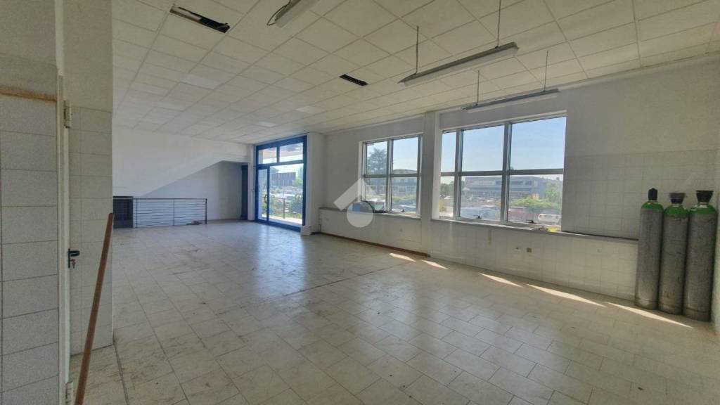 immagine annuncio 9 di 12