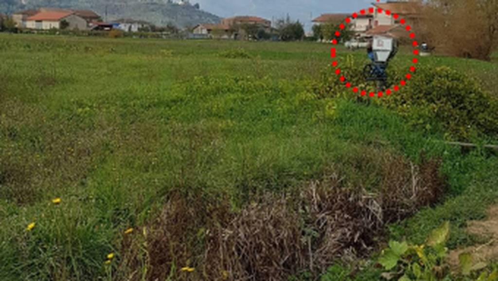 immagine annuncio 3 di 11