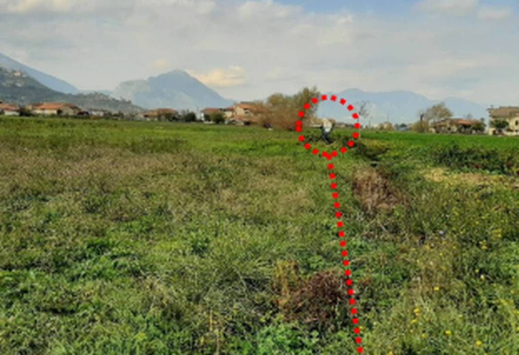 immagine annuncio 5 di 11