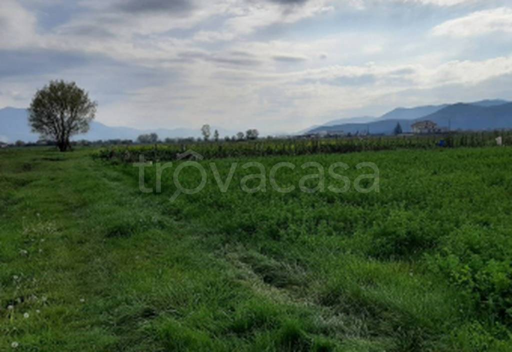 immagine annuncio 6 di 11