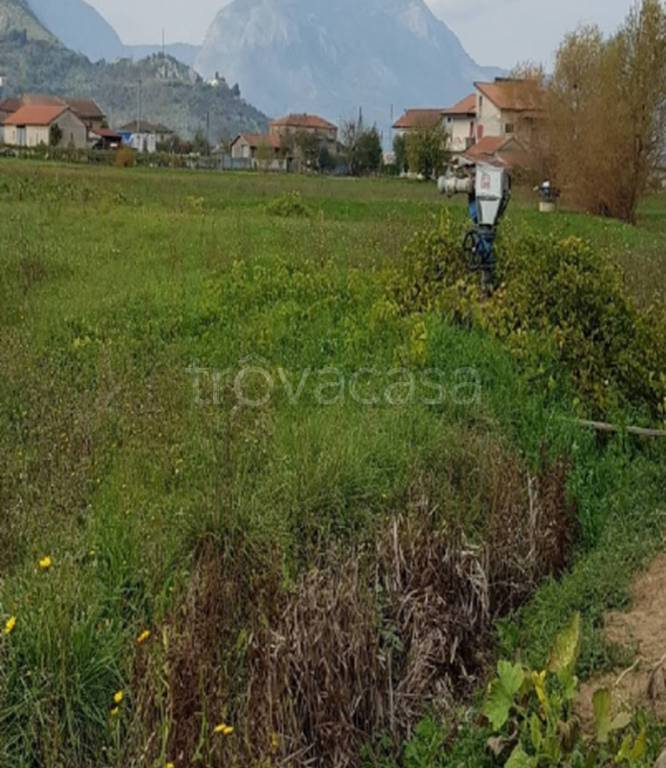 immagine annuncio 9 di 11