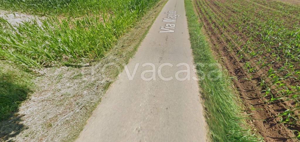 immagine annuncio 3 di 12