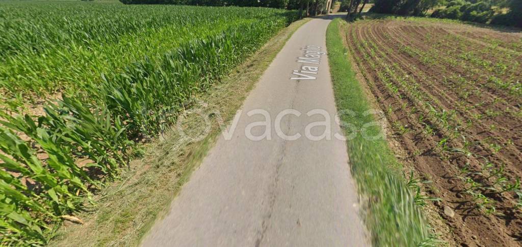 immagine annuncio 4 di 12