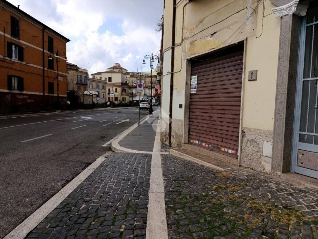 immagine annuncio 9 di 13