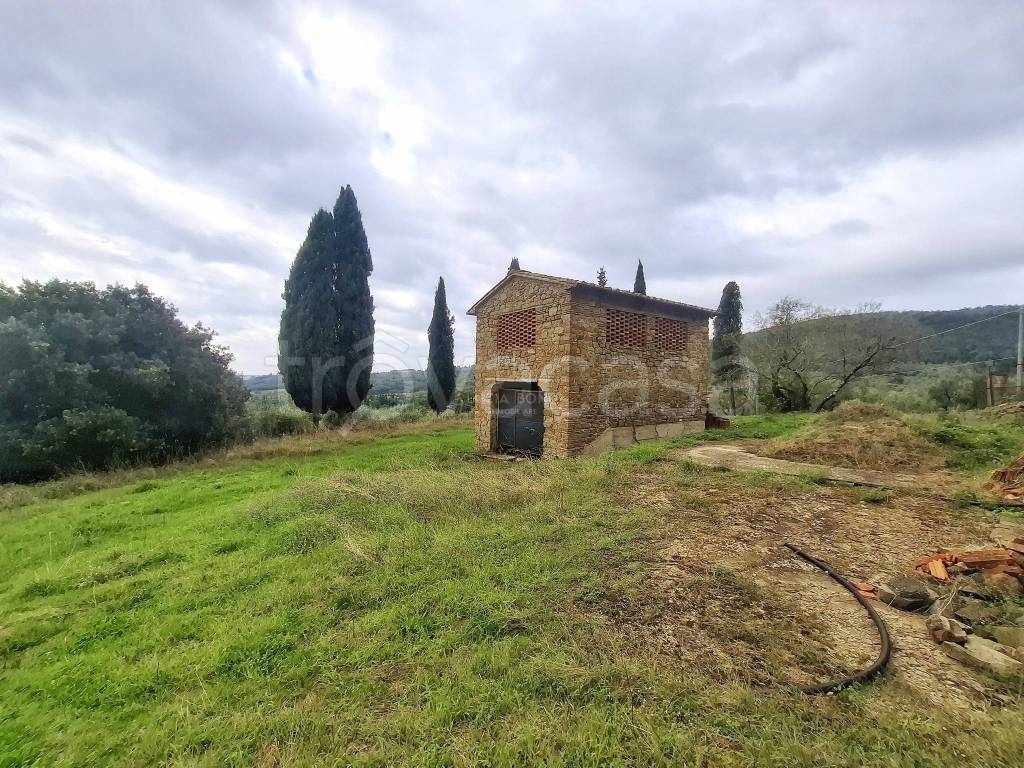 immagine annuncio 6 di 13