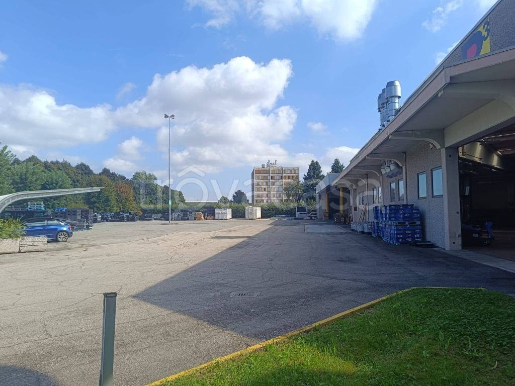 immagine annuncio 12 di 13