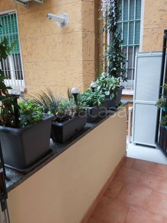 immagine annuncio 8 di 14