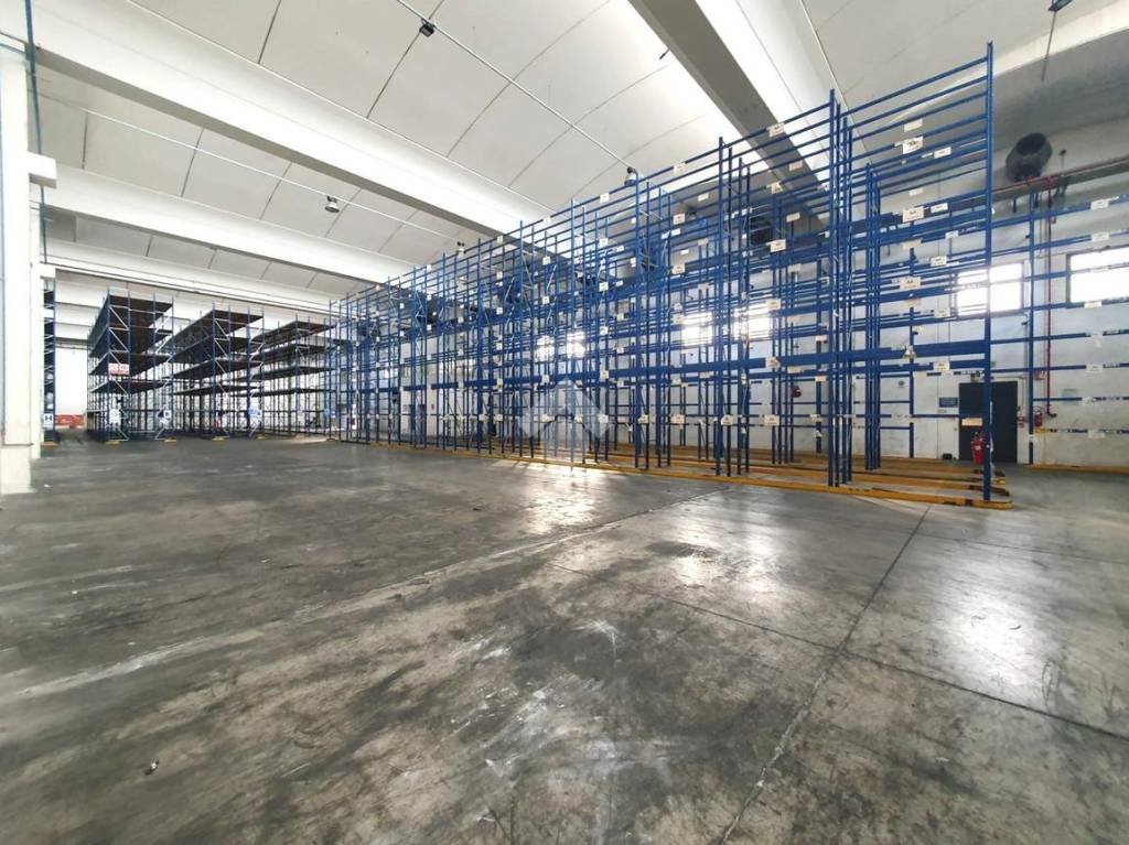 immagine annuncio 12 di 15