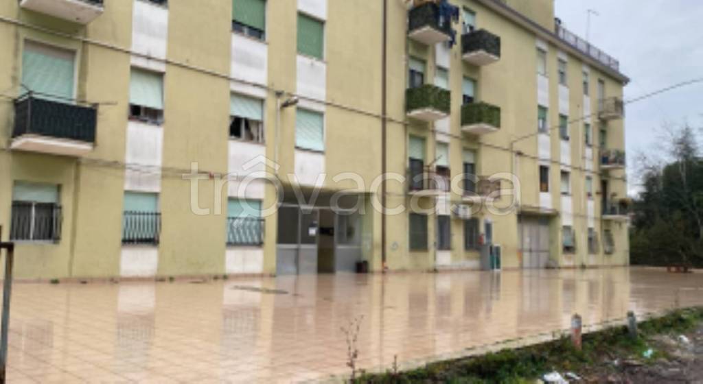 immagine annuncio 3 di 14
