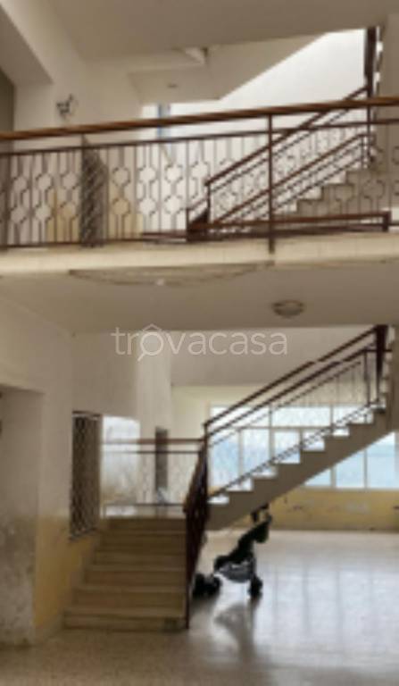 immagine annuncio 10 di 14