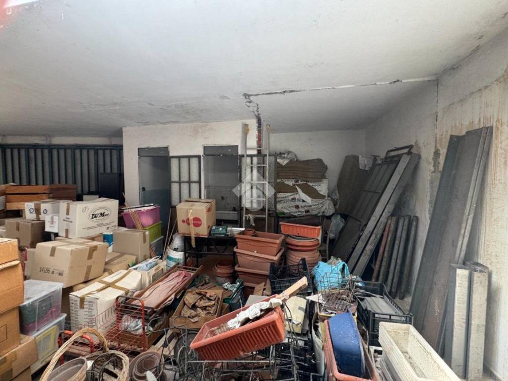 immagine annuncio 10 di 14