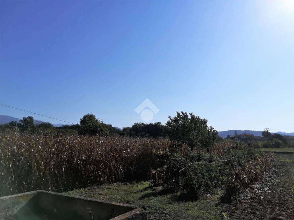 immagine annuncio 4 di 6