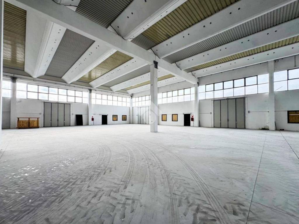 immagine annuncio 14 di 15