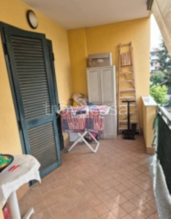 immagine annuncio 5 di 12