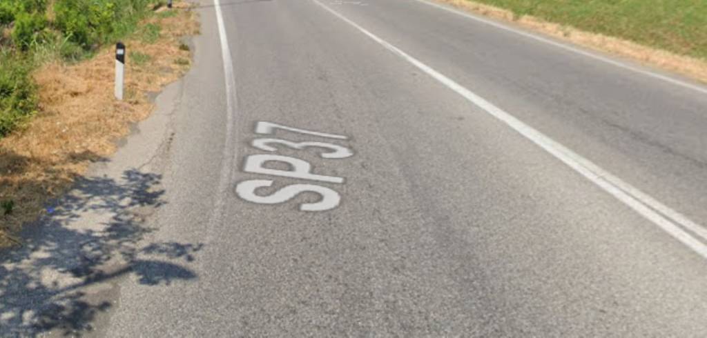 immagine annuncio 5 di 11