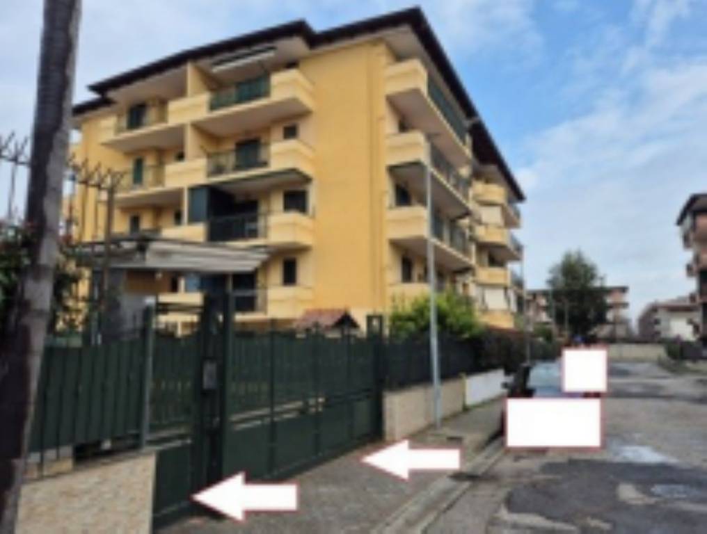 immagine annuncio 10 di 12
