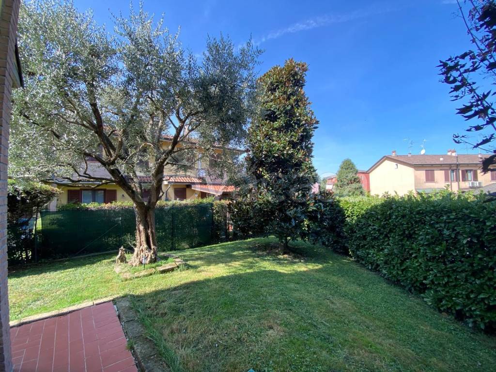 immagine annuncio 5 di 15