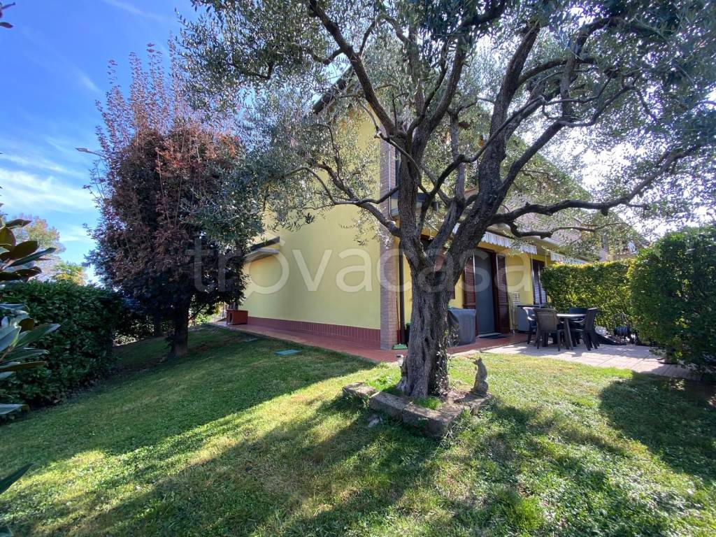 immagine annuncio 2 di 15