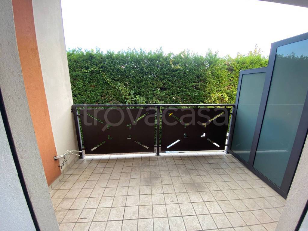 immagine annuncio 6 di 8