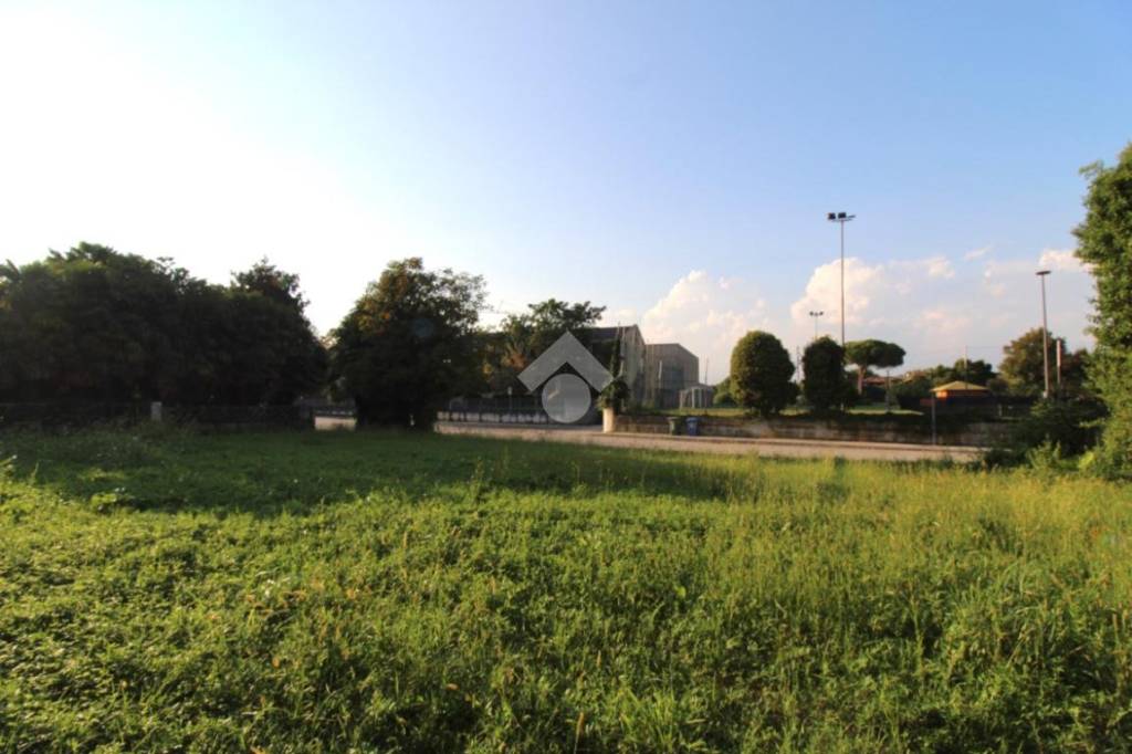 immagine annuncio 7 di 12