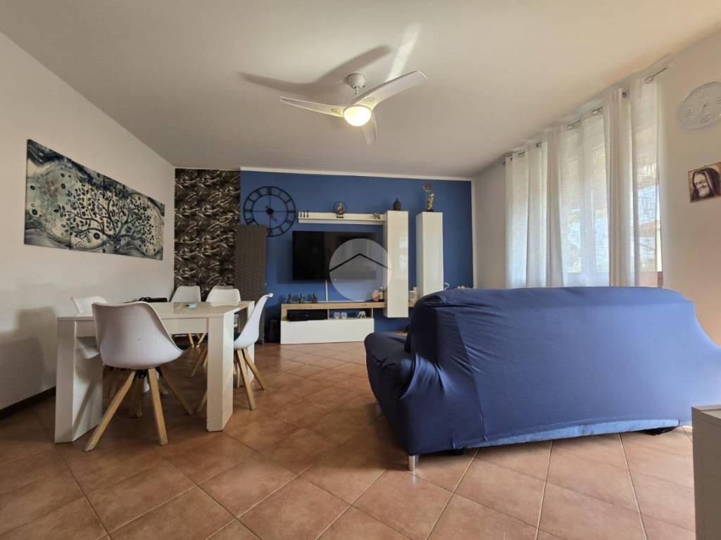 immagine annuncio 4 di 12