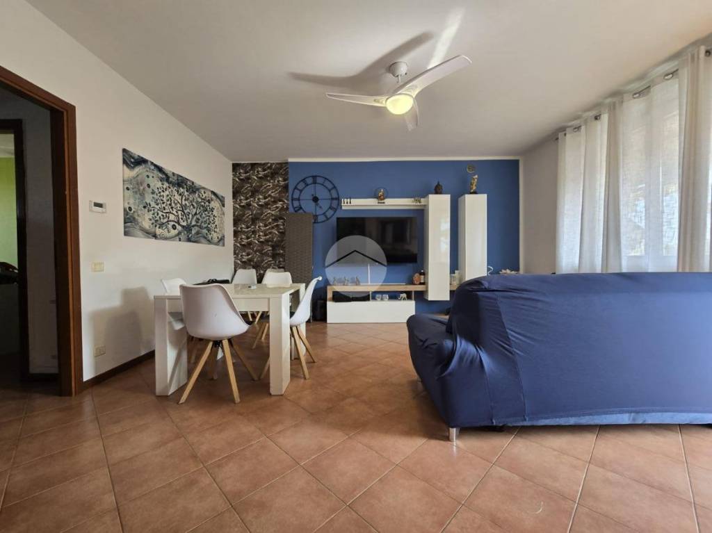 immagine annuncio 5 di 12