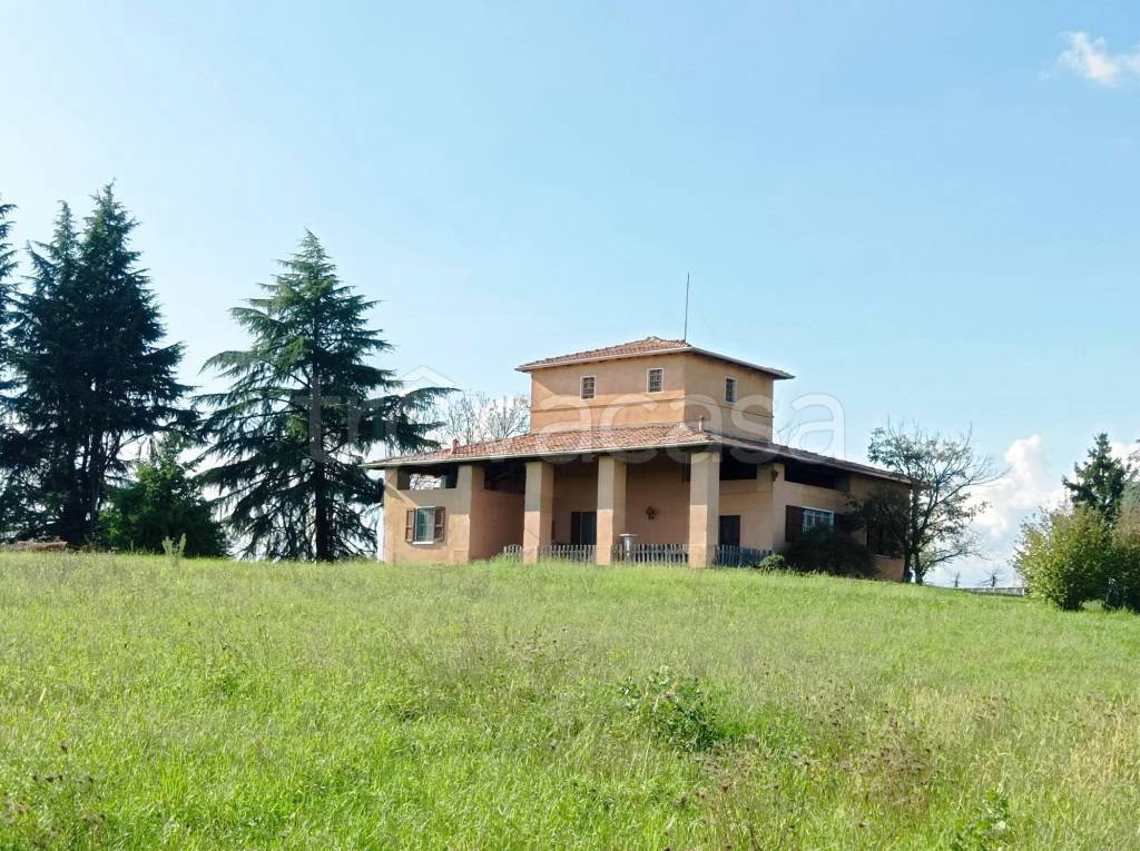 immagine annuncio 6 di 14