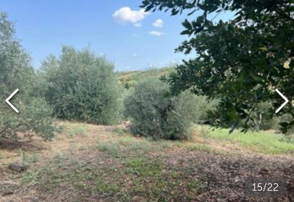 immagine annuncio 1 di 8