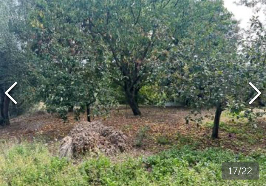 immagine annuncio 2 di 8