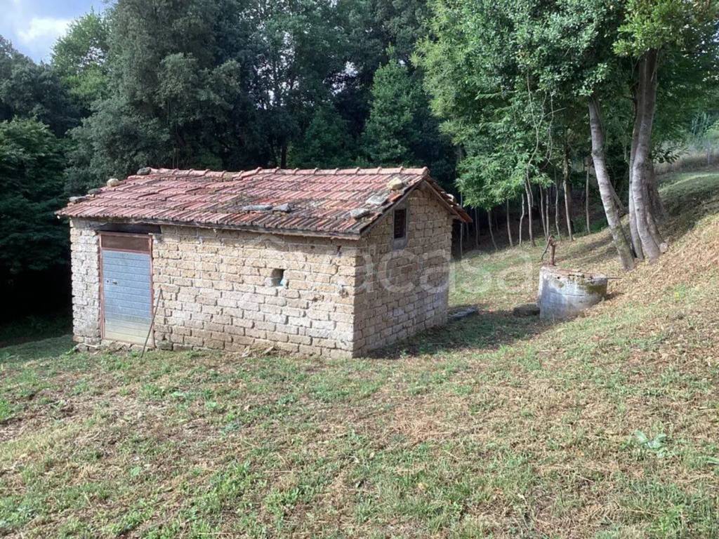 immagine annuncio 2 di 7
