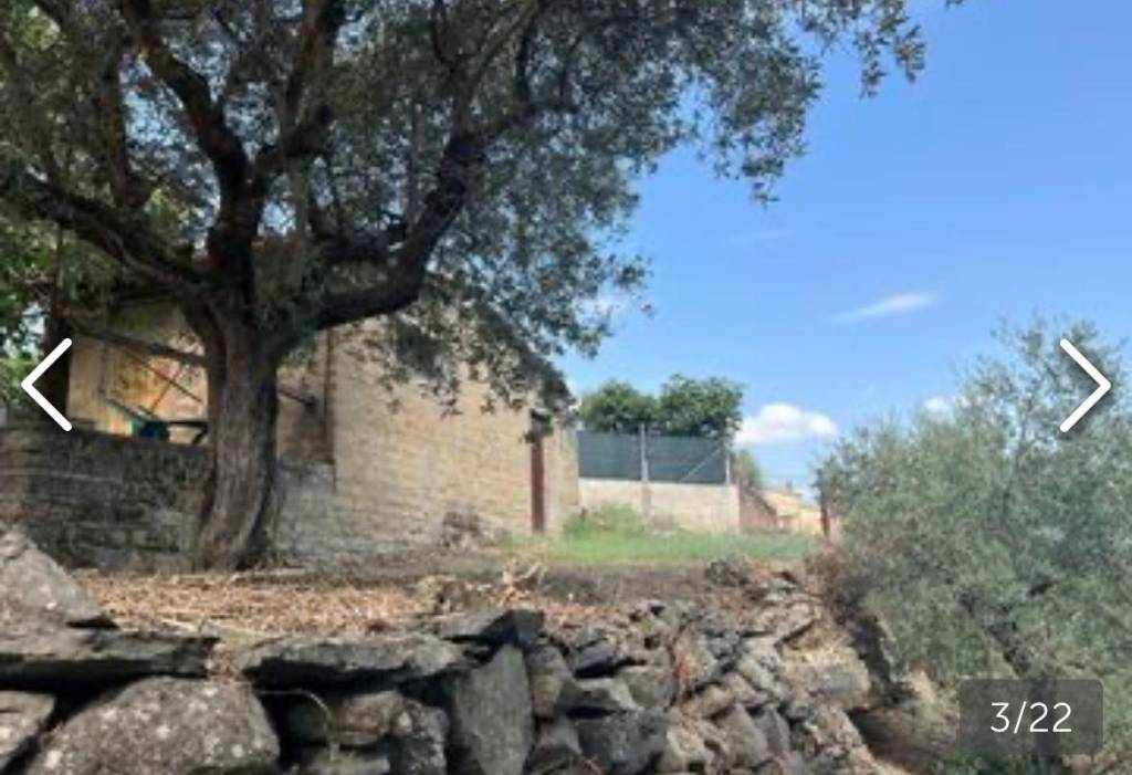 immagine annuncio 7 di 8